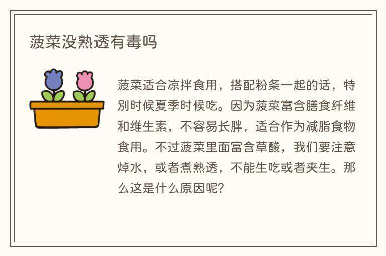 菠菜没熟透有毒吗