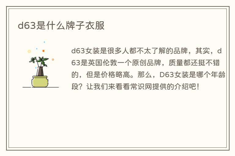 d63是什么牌子衣服