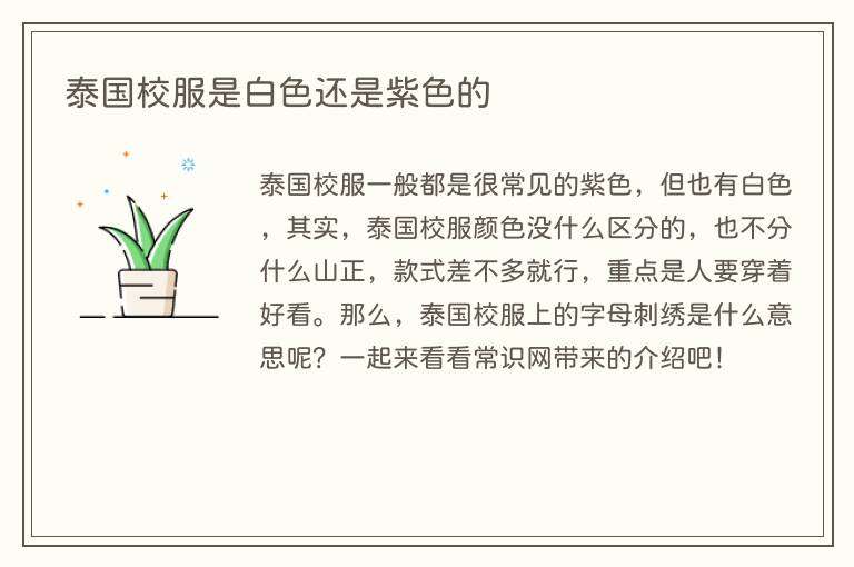 泰国校服是白色还是紫色的