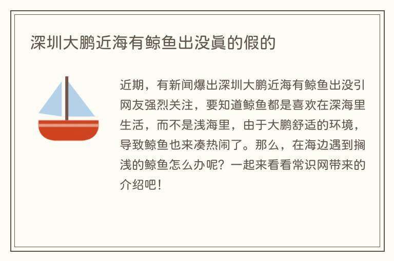 深圳大鹏近海有鲸鱼出没真的假的