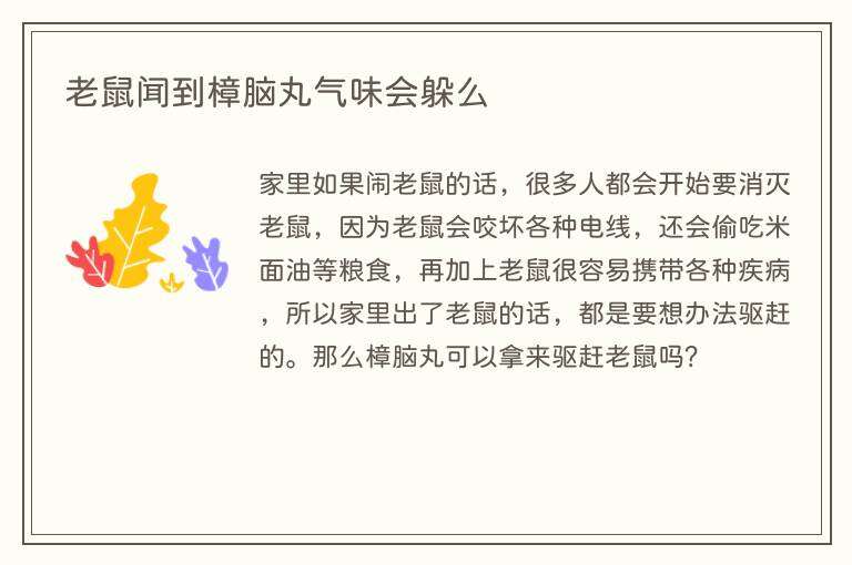 老鼠闻到樟脑丸气味会躲么