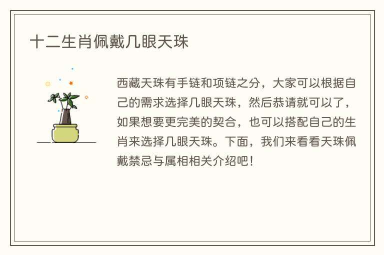 十二生肖佩戴几眼天珠
