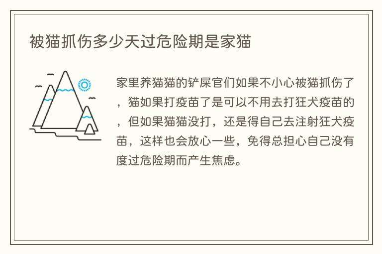被猫抓伤多少天过危险期是家猫