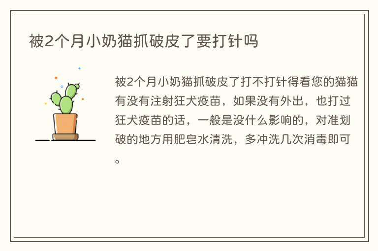 被2个月小奶猫抓破皮了要打针吗