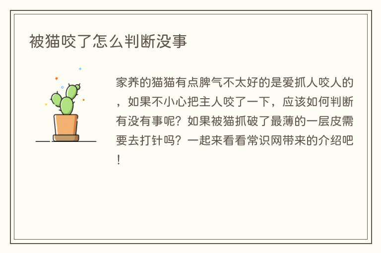 被猫咬了怎么判断没事