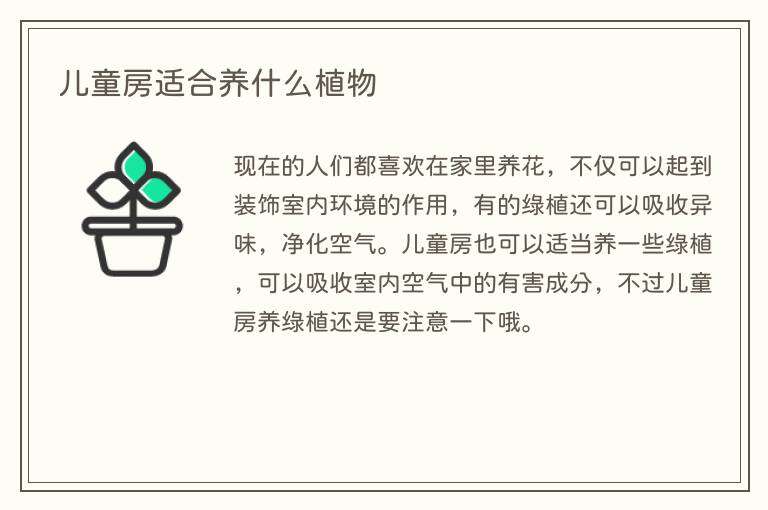 儿童房适合养什么植物