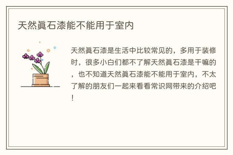 天然真石漆能不能用于室内