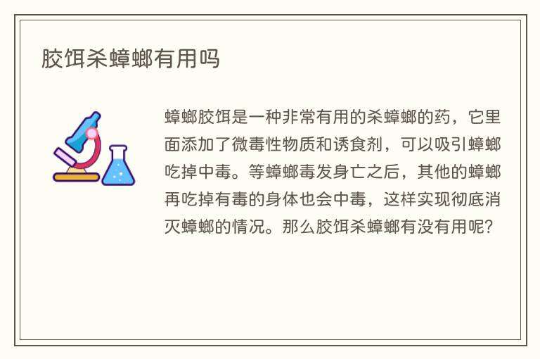 胶饵杀蟑螂有用吗