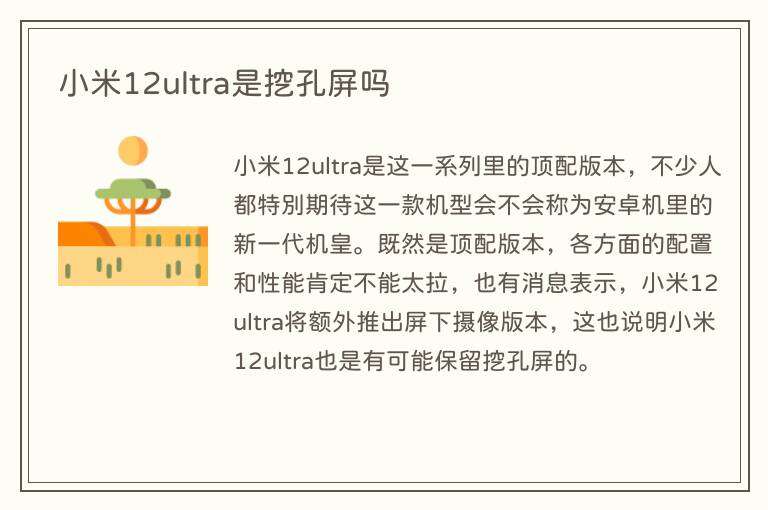小米12ultra是挖孔屏吗