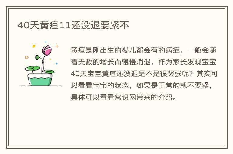 40天黄疸11还没退要紧不