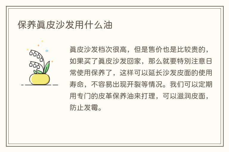 保养真皮沙发用什么油