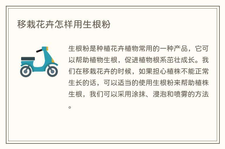 移栽花卉怎样用生根粉