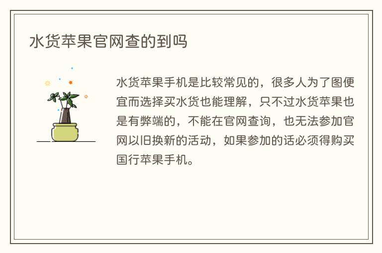 水货苹果官网查的到吗