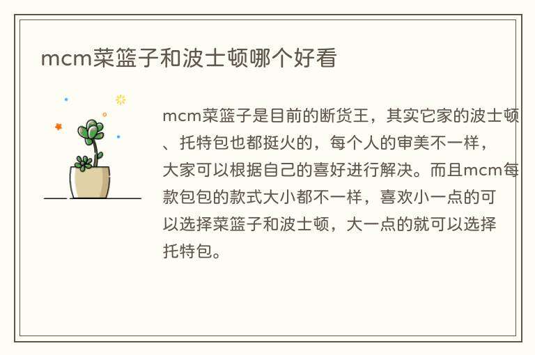 mcm菜篮子和波士顿哪个好看