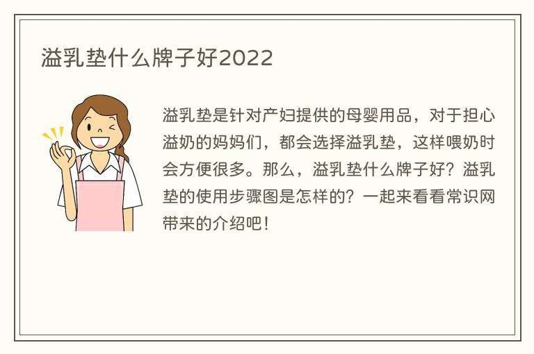 溢乳垫什么牌子好2022