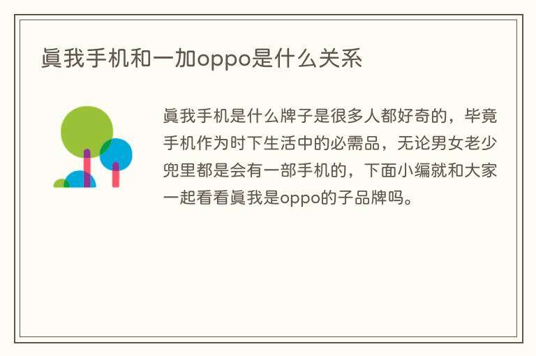 真我手机和一加oppo是什么关系