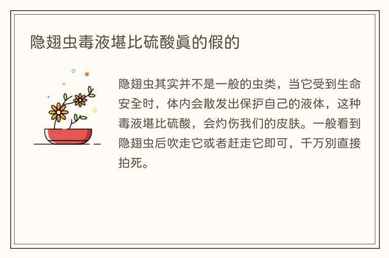 隐翅虫毒液堪比硫酸真的假的
