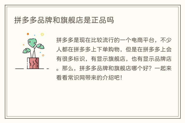 拼多多品牌和旗舰店是正品吗