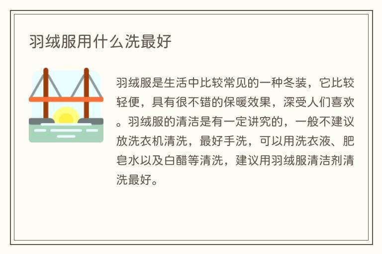 羽绒服用什么洗最好