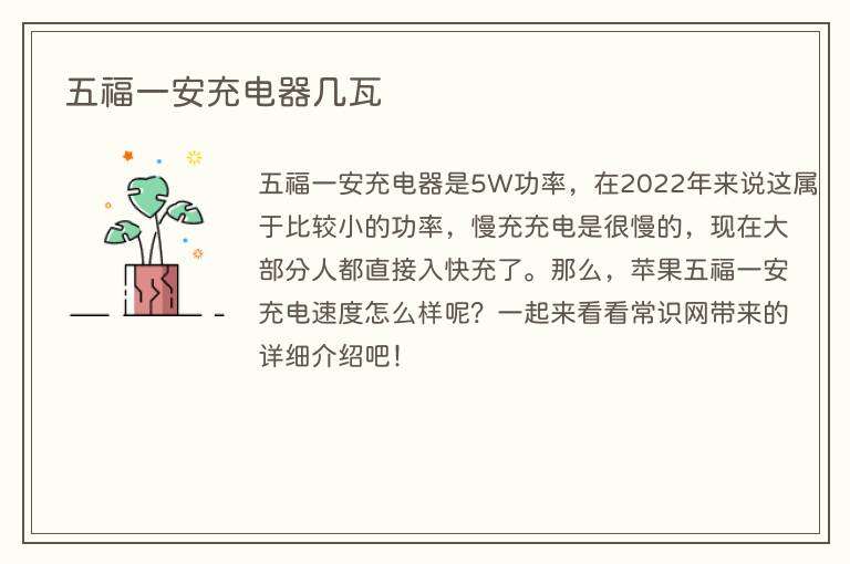 五福一安充电器几瓦