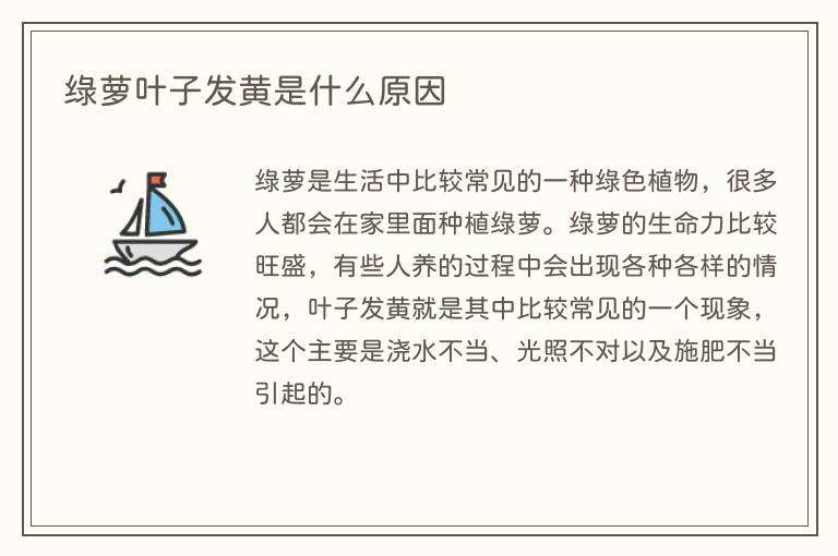 绿萝叶子发黄是什么原因