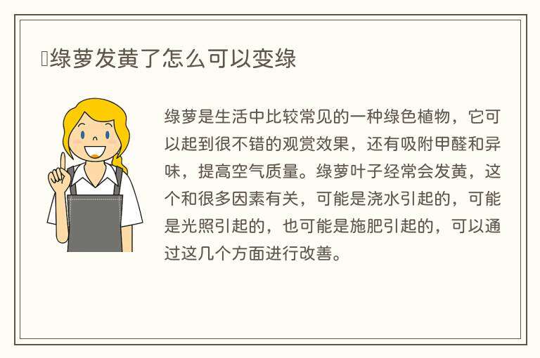 绿萝发黄了怎么可以变绿