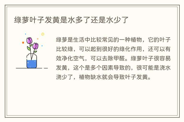 绿萝叶子发黄是水多了还是水少了