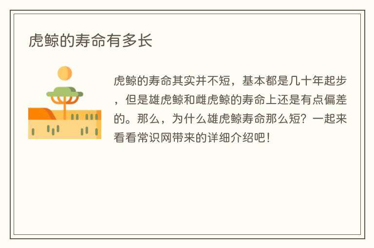 虎鲸的寿命有多长