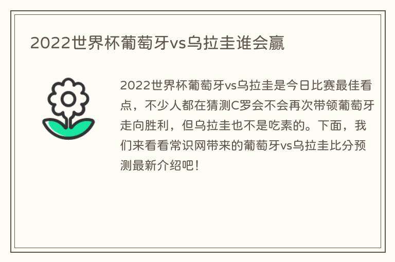 2022世界杯葡萄牙vs乌拉圭谁会赢