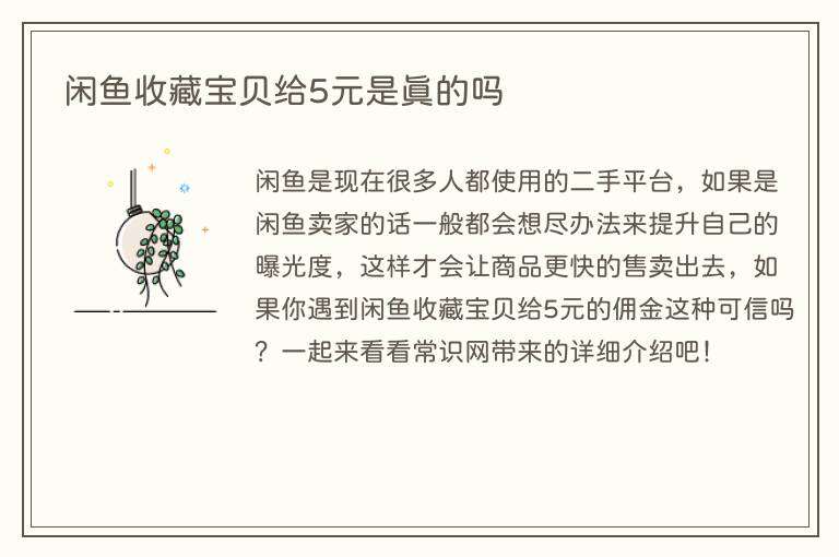 闲鱼收藏宝贝给5元是真的吗