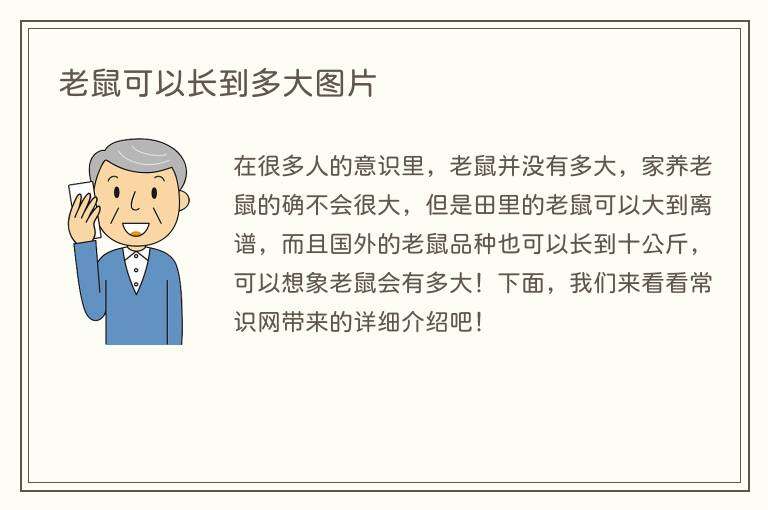 老鼠可以长到多大图片