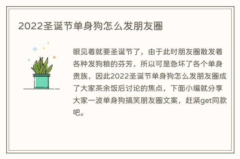 2022圣诞节单身狗怎么发朋友圈