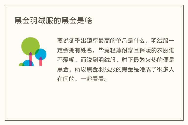 黑金羽绒服的黑金是啥