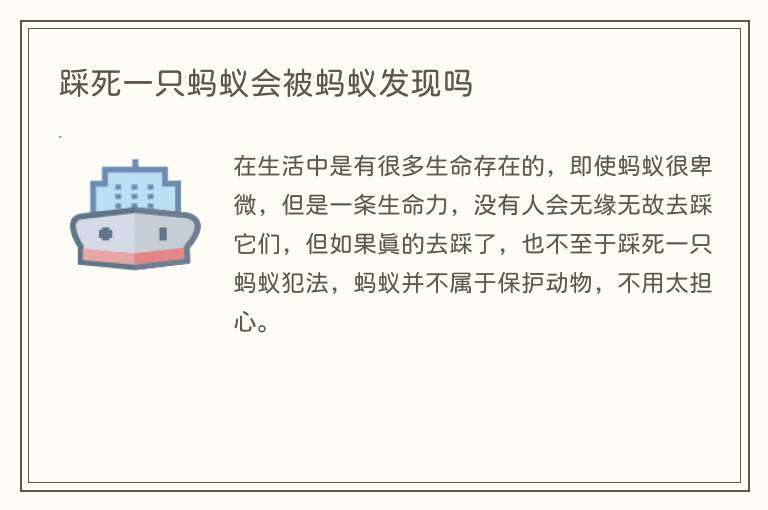 踩死一只蚂蚁会被蚂蚁发现吗