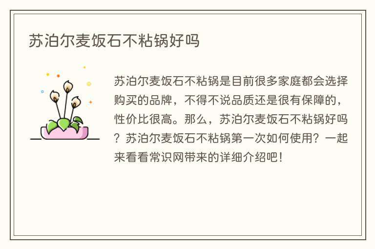 苏泊尔麦饭石不粘锅好吗