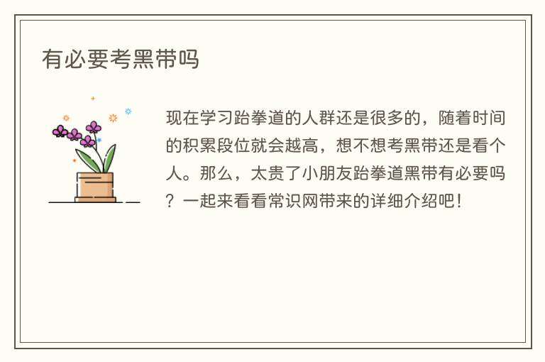 有必要考黑带吗