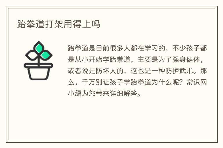 跆拳道打架用得上吗