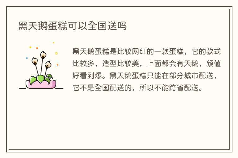 黑天鹅蛋糕可以全国送吗