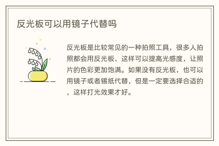 反光板可以用镜子代替吗