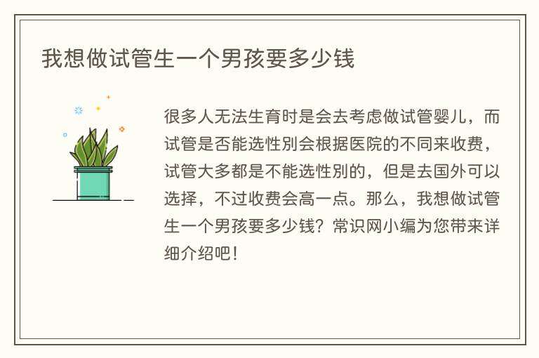我想做试管生一个男孩要多少钱