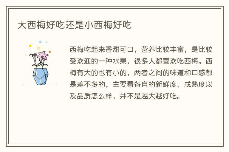 大西梅好吃还是小西梅好吃