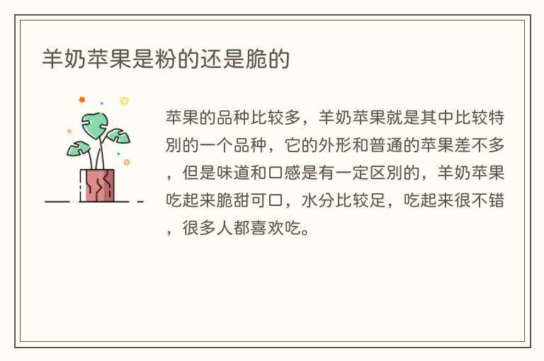 羊奶苹果是粉的还是脆的