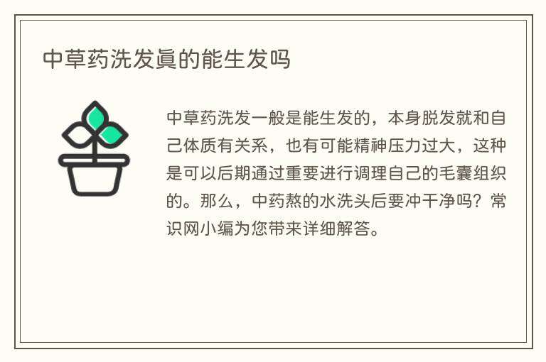 中草药洗发真的能生发吗