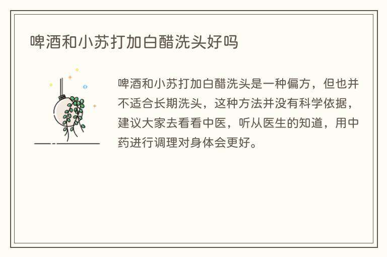 啤酒和小苏打加白醋洗头好吗
