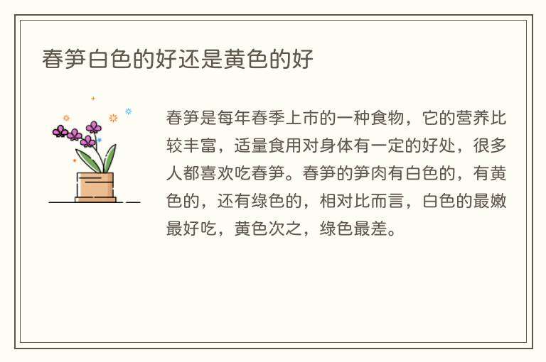 春笋白色的好还是黄色的好