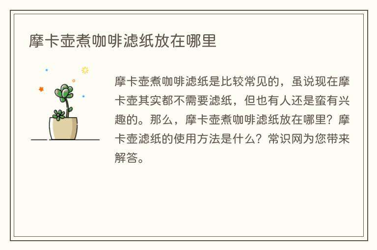 摩卡壶煮咖啡滤纸放在哪里