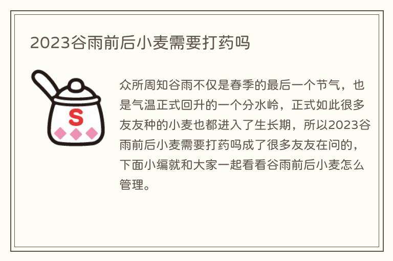 2023谷雨前后小麦需要打药吗