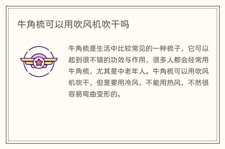 牛角梳可以用吹风机吹干吗
