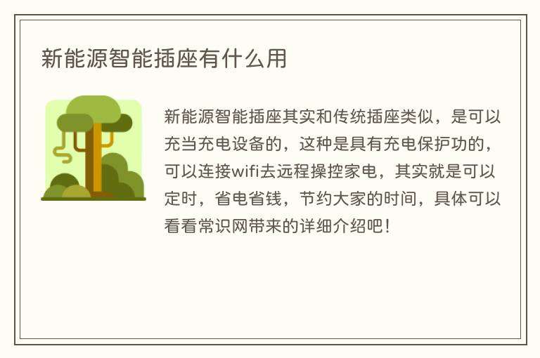 新能源智能插座有什么用