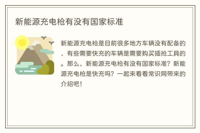 新能源充电枪有没有国家标准